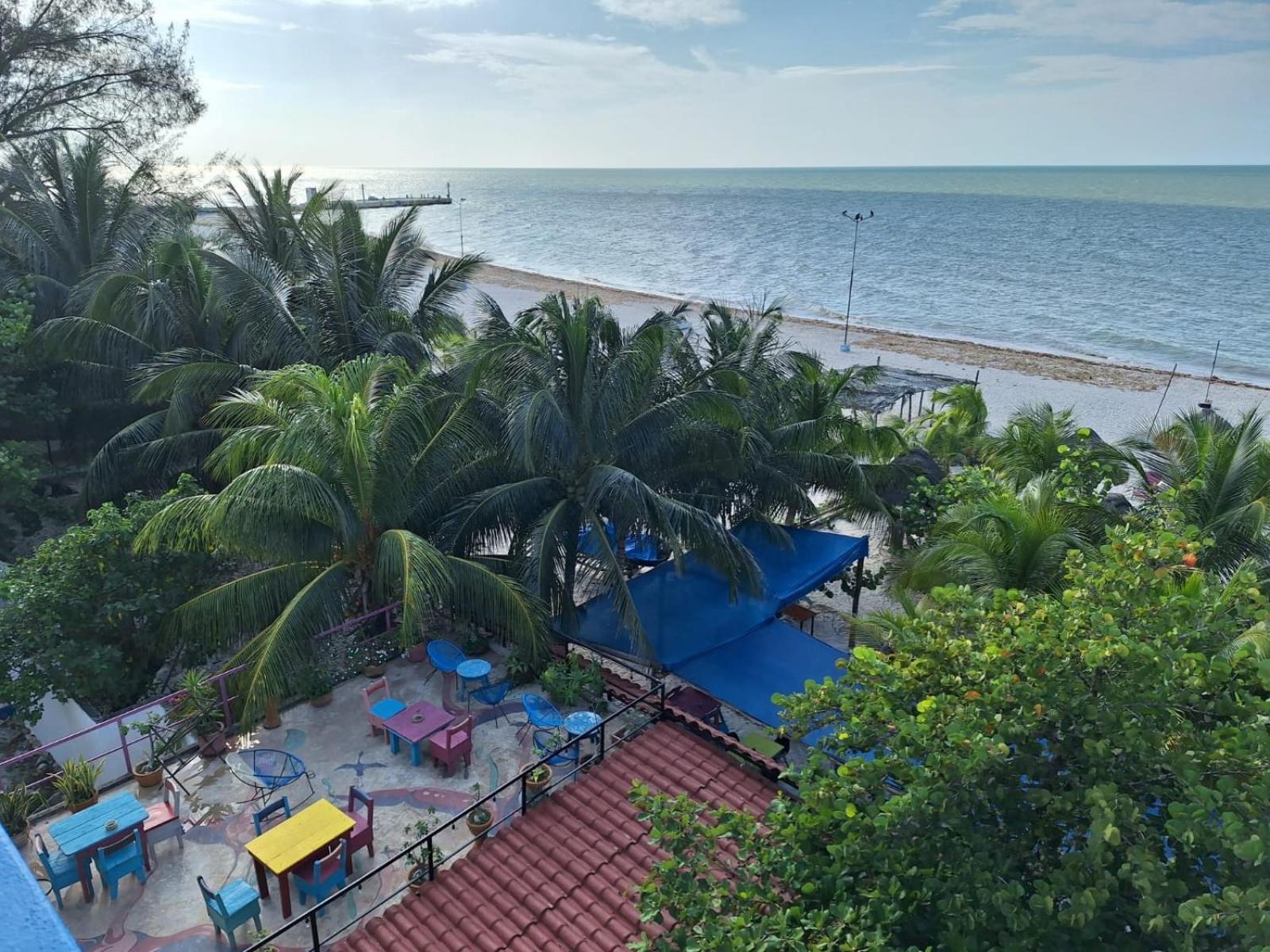 Hotel Gutierrez 塞莱斯通 外观 照片